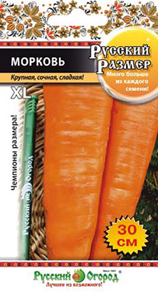 Морковь русский размер