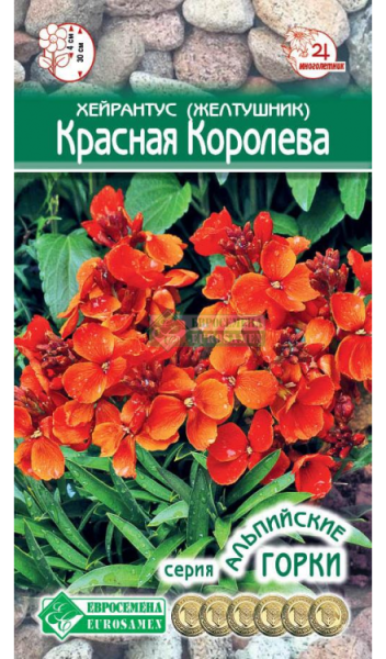 Хейрантус (Желтушник) Красная Королева