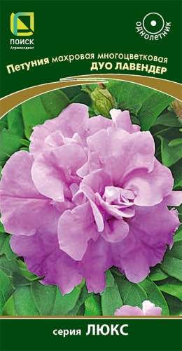 petunia_mahrov_mnogocvet_duo_lavender