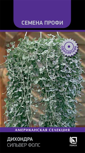 dikhondra_silver_fols