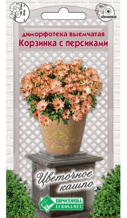 Корзина с персиками