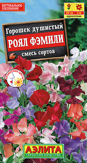 Горошек душистый Роял Фэмили, смесь сортов_ЦП