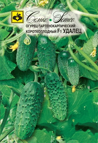 ogurec_udalec