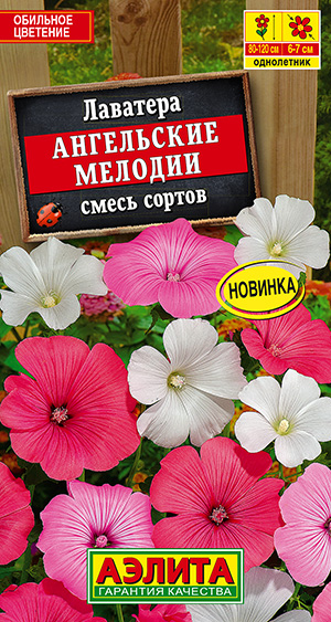 Лаватера Ангельские мелодии, смесь сортов_ЦП