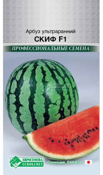 Арбуз Скиф