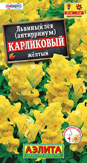 Львиный зев карликовый желтый