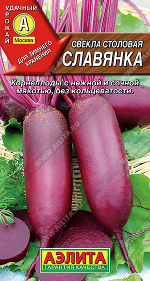 Свекла Славянка