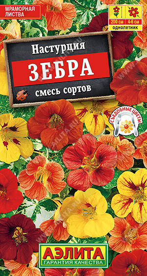Настурция Зебра