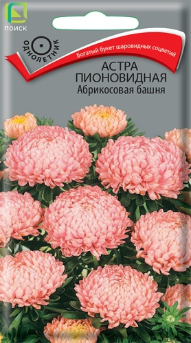 astra_pion_abrikosovaya_bashnya