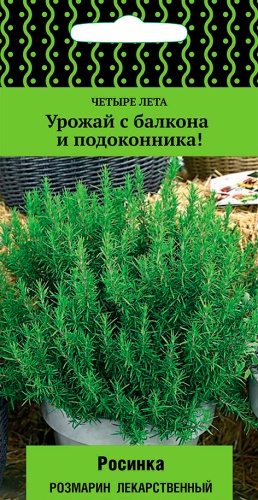rozmarin_lekar_rosinka