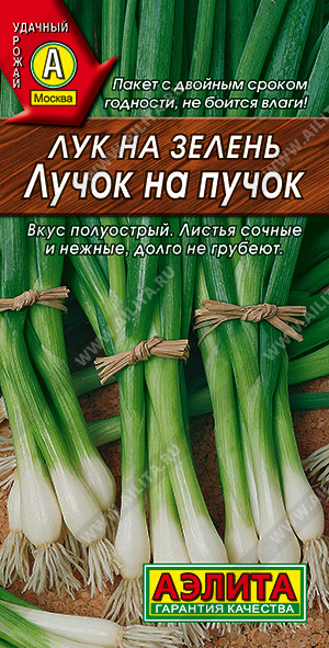 Лучок на пучок
