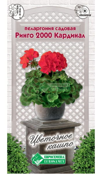 Пеларгония Ринго 2000 Кардинал