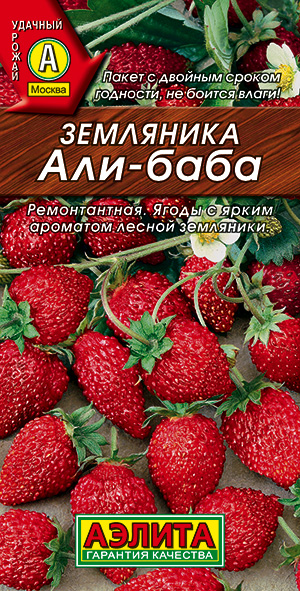 Земляника Али-Баба_ЦП