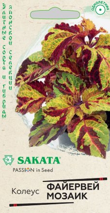 Коллеус мозаик