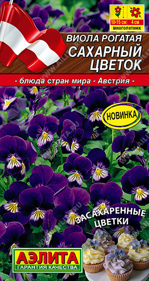 Виола сахарный цветок