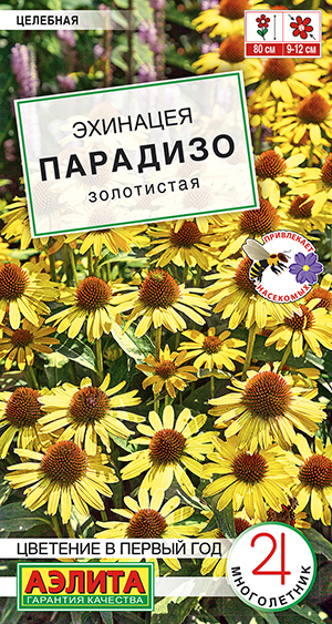 Эхинацея Парадизо золотистая_ЦП