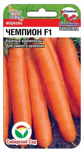 Морковь чемпион