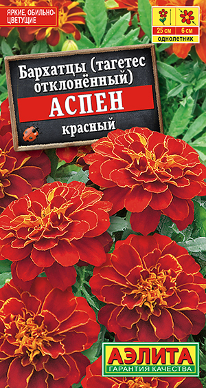 Бархатцы Аспен красный_ЦП