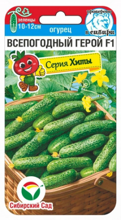 Огурец всепогодный герой