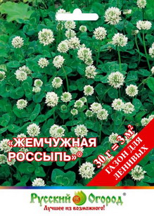 Клевер