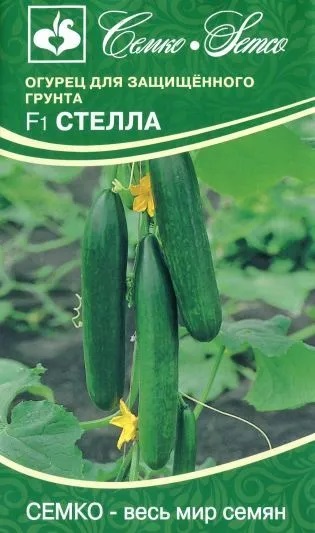 Огурец Стелла