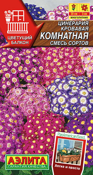 Цинерария комнатная, смесь сортов_ЦП