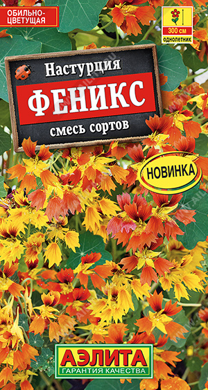 Настурция Феникс