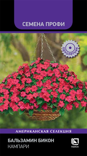 balzamin_bikon_kampari