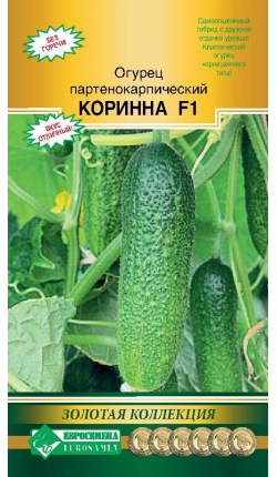 Огурец Коринна
