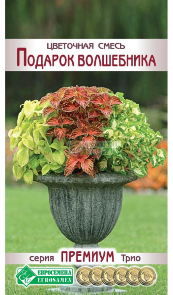 Цветочная смесь Подарок Волшебника