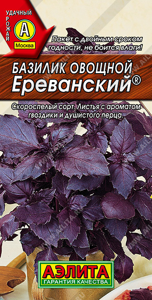 Базилик Ереванский