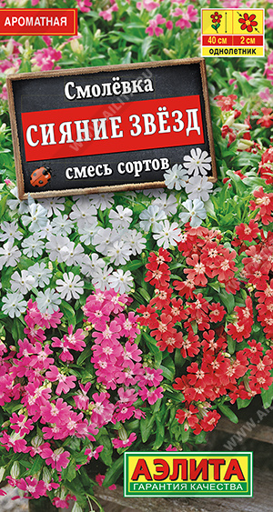 Смолевка Сияние звезд,