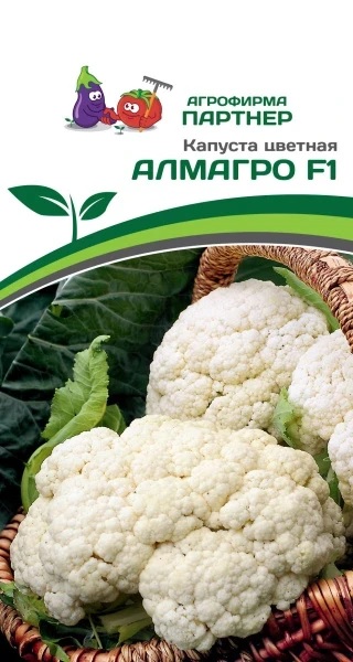 Капуста цветная Алмагро