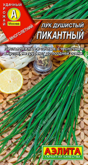 Лук душистый пикантный