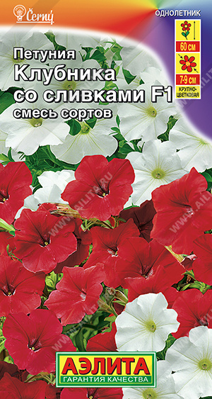 Петуния клубника со сливками