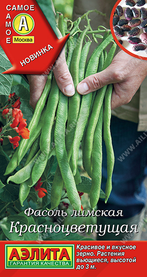 Крупноцвет