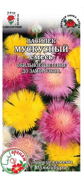 Василек мускусный