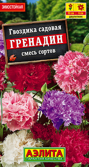 Гвоздика садовая Гренадин, смесь сортов_ЦП