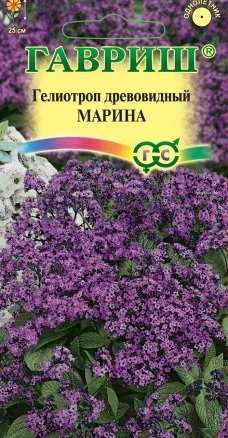 Гелиотроп