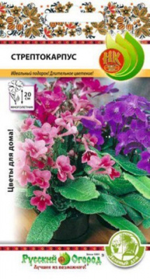 Стрептокарпус