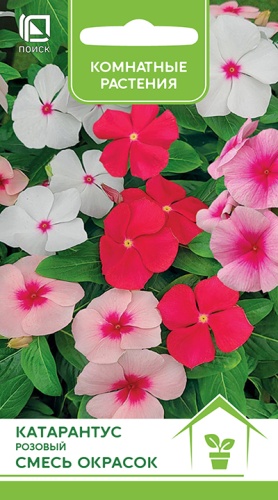 katarantus_rozovy_smes_okrasok