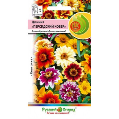 Цинния персидский ковер