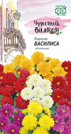 Георгина Василиса