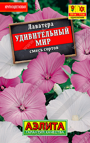 Лаватера удивительный мир