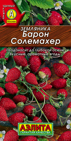 Земляника ремонтантная Барон Солемахер_ЦП