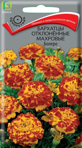 barhatsy_otklon_mahrov_bolero