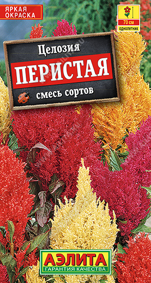 Целозия перистая смесь