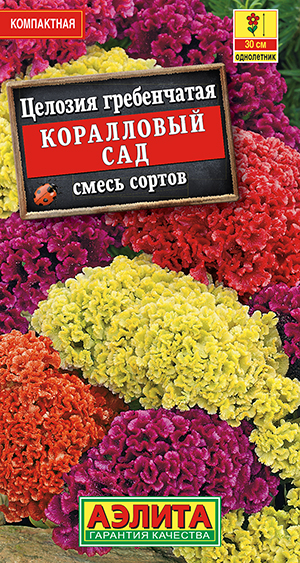 Целозия гребенчатая Коралловый сад, смесь сортов_ЦП