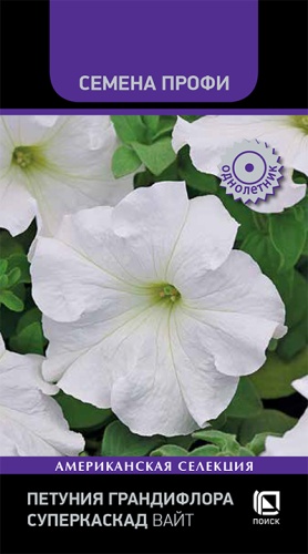 petunia_grandiflora_superkaskad_white