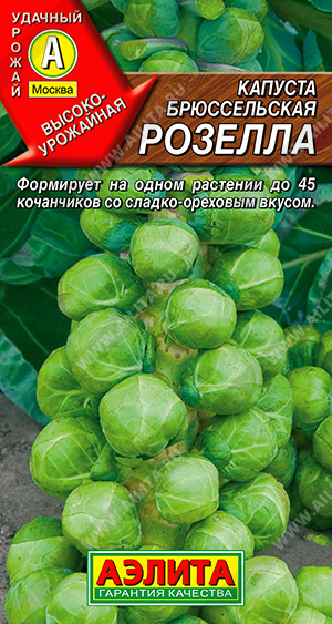 Капуста брюс Розелла